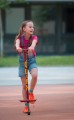 pogostick_2.jpg
