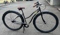 rower QU-AX Monsterbike_8.jpg