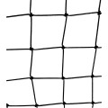 rebounder Enero_7.jpg