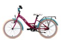 rower Bike Star BI-20-KK-01-PETE_2.jpg