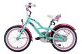 rower Bike Star BI-16-CR-01-MINT_2.jpg