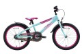 rower Bike Star BI-20-CM-01-BYTE_2.jpg