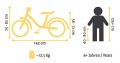 rower Bike Star BI-20-CM-02-pikto.jpg