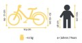 rower Bike Star BI-16-CM-02-pikto.jpg