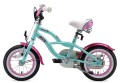 rower Bike Star BI-12-CR-01-MINT_2.jpg